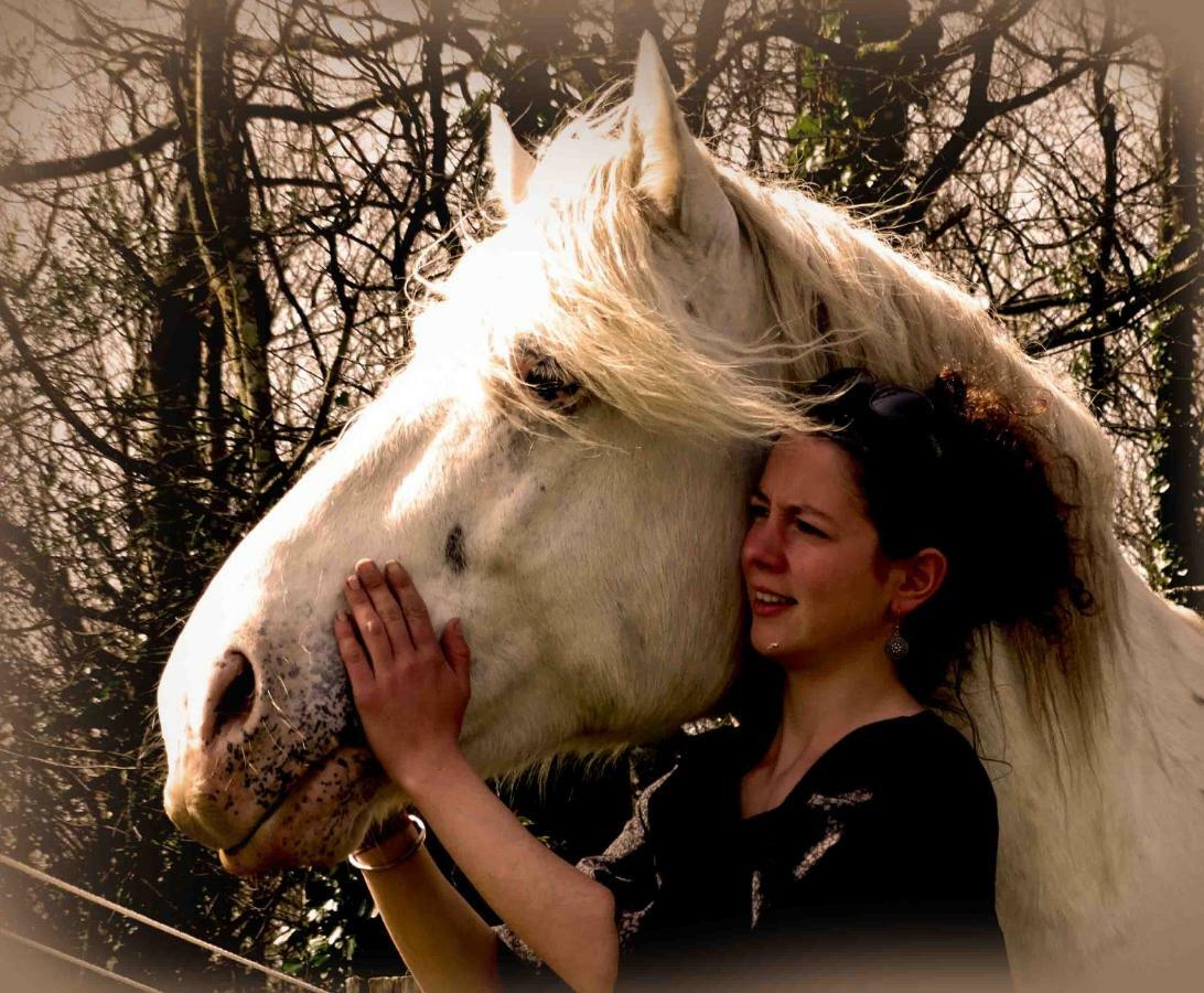 Une Roulotte Et Des Chevaux Treffléan Kültér fotó